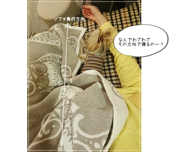 d0179828_08570249.png
