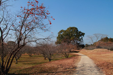 c0280729_13461794.jpg