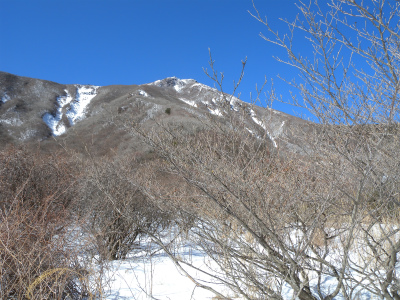 e0272335_2031246.jpg