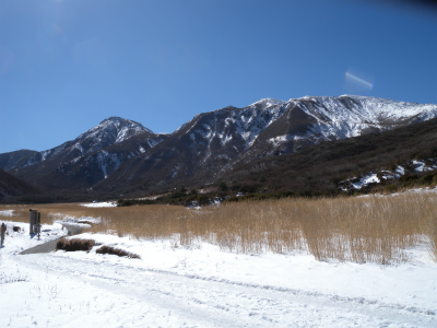 e0272335_2055542.jpg