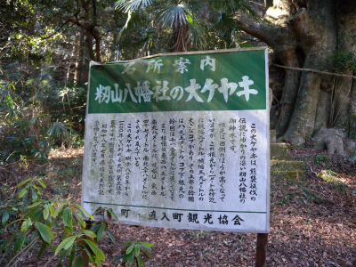 e0272335_2182015.jpg