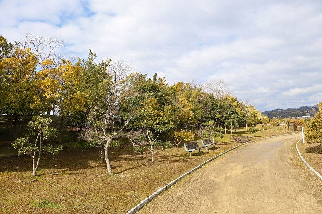 a0242438_19455238.jpg