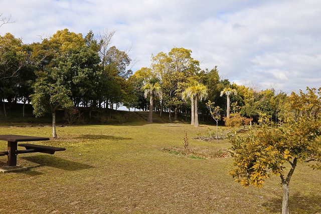 a0242438_19455916.jpg
