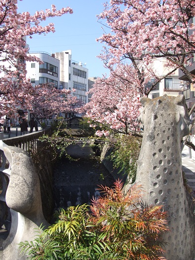 b0089338_12117.jpg