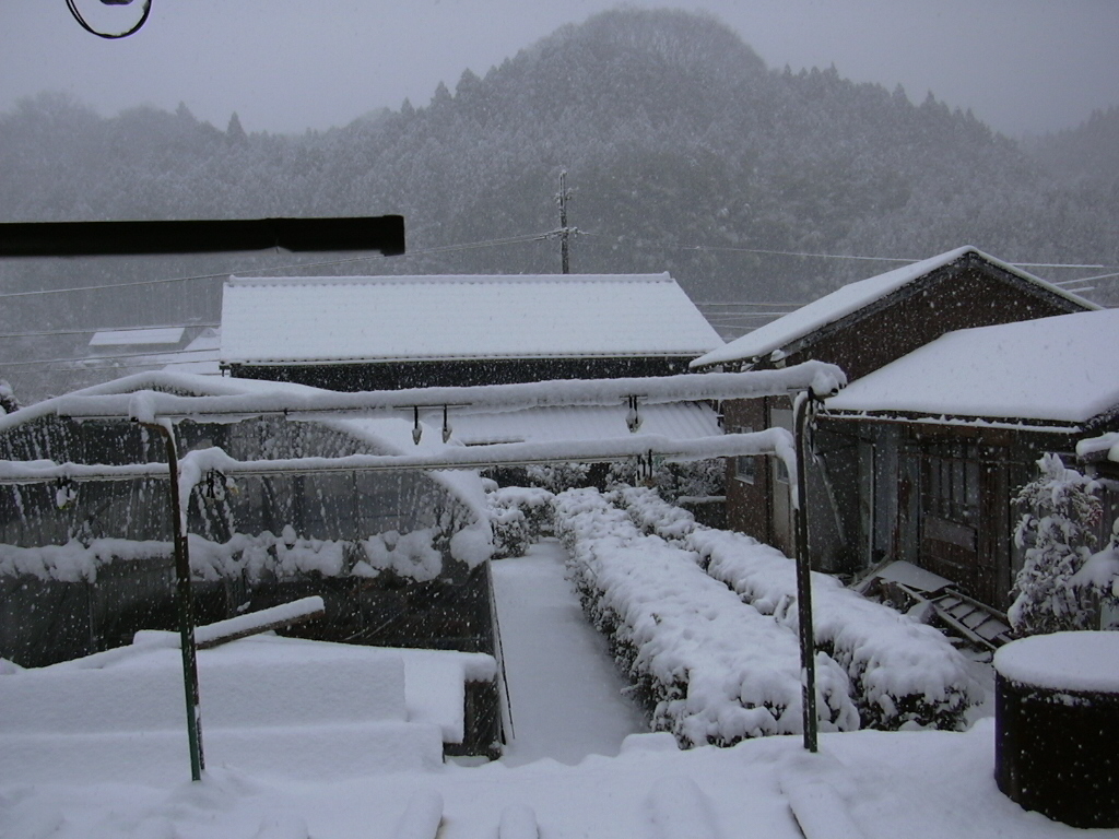 d0090842_161234.jpg