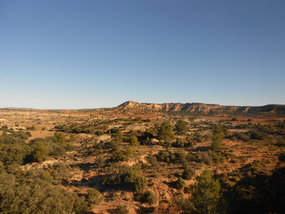 e0297347_12425630.jpg
