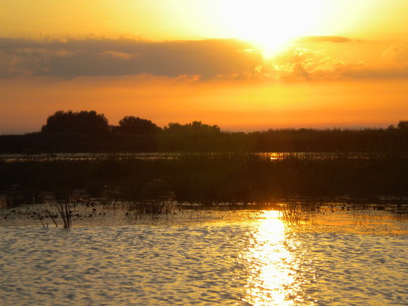 e0297347_149587.jpg