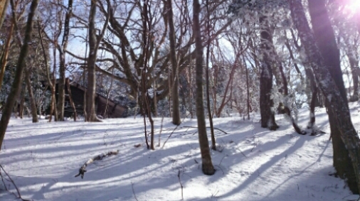 b0148050_10572264.jpg