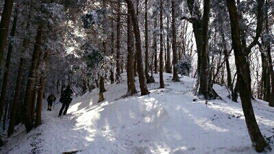 b0148050_12293651.jpg