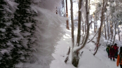b0148050_1231693.jpg