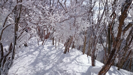 b0148050_12341099.jpg