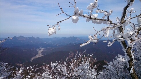 b0148050_12372127.jpg