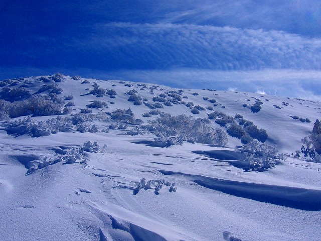 c0219866_18264117.jpg
