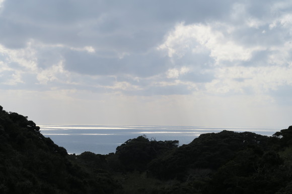 e0292172_2102455.jpg