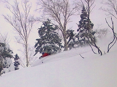 f0182173_145919.jpg