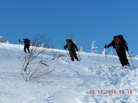 f0104277_7284564.jpg