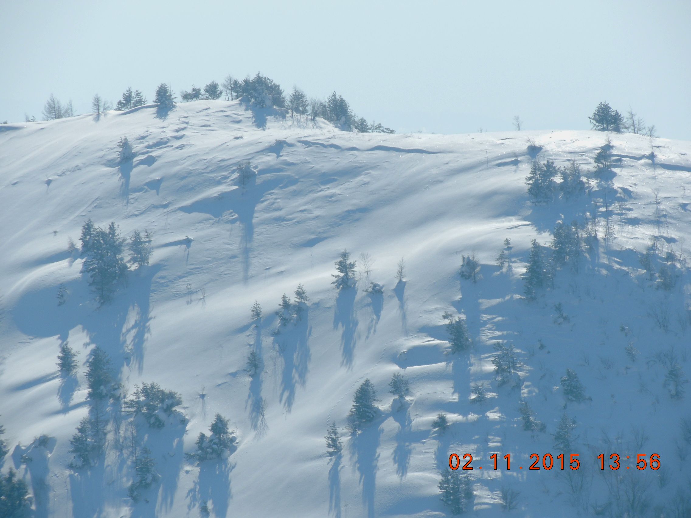 f0104277_7374114.jpg