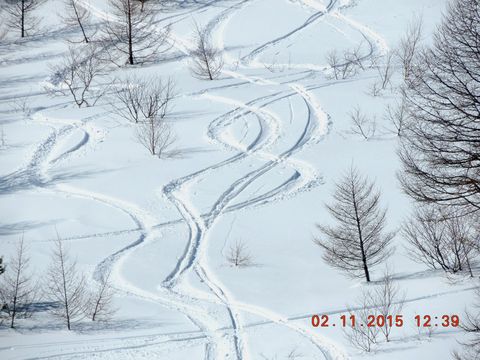 f0104277_7392490.jpg
