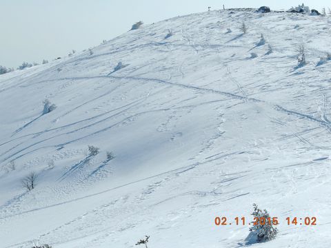 f0104277_739873.jpg