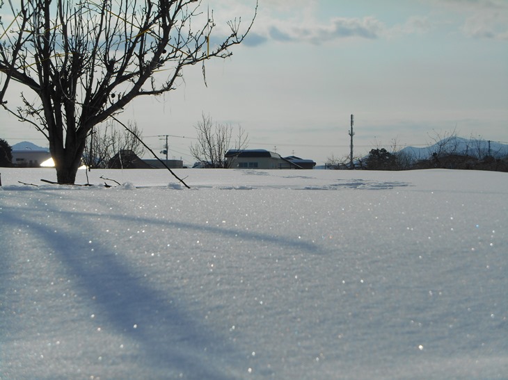 c0198781_1632162.jpg
