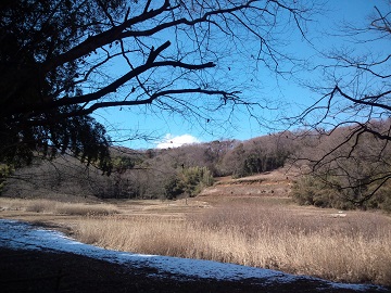 e0023790_2181881.jpg