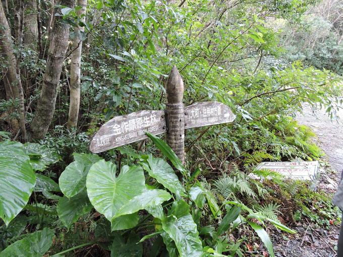e0241093_1422896.jpg