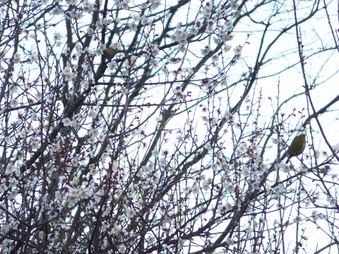 f0204110_16113288.jpg