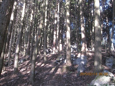 f0193521_2181995.jpg