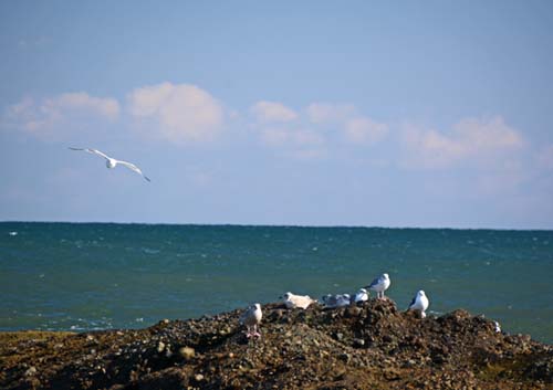 f0147025_20391793.jpg