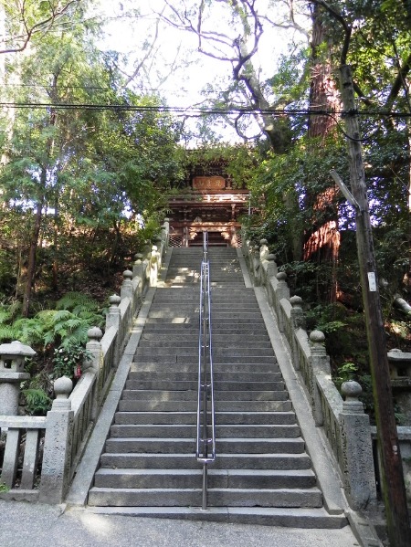 f0213825_1453998.jpg
