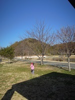 f0151628_16441056.jpg