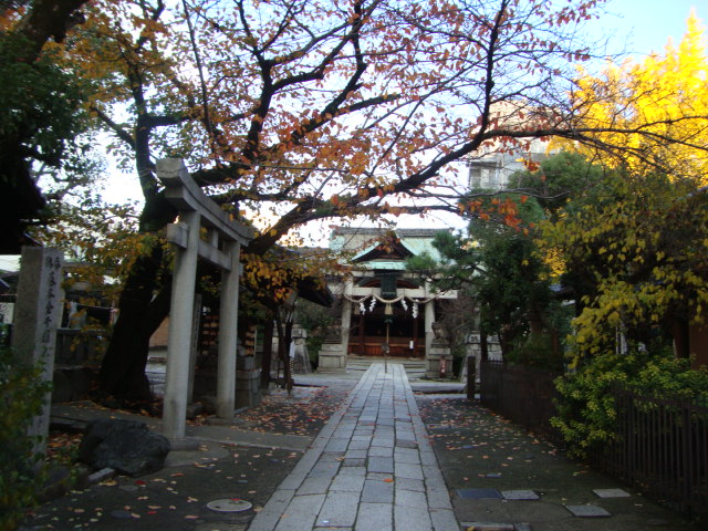 d0193232_153335.jpg