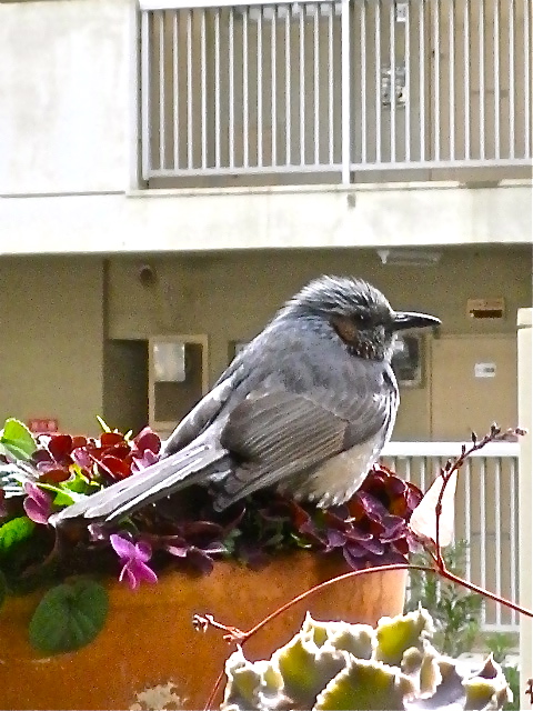 b0027736_18264548.jpg