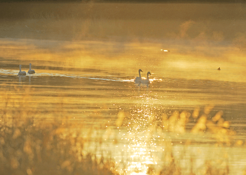 d0290240_10331331.gif