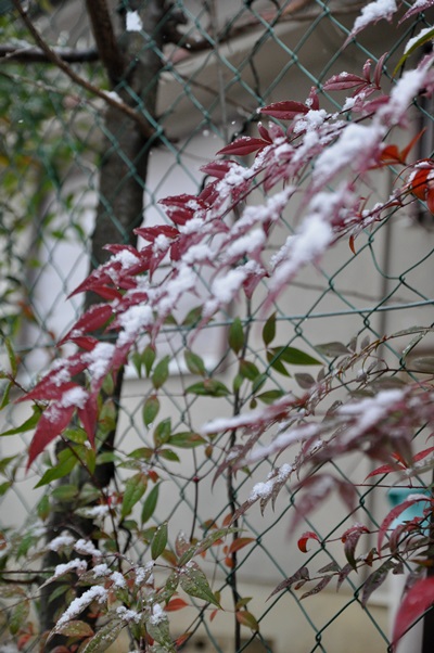f0207664_7245659.jpg
