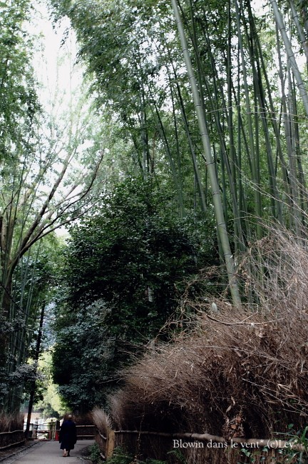 f0251765_17331398.jpg