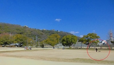 e0002466_2336628.jpg
