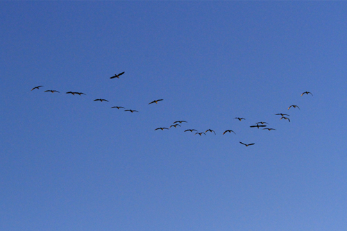 a0157069_1271436.jpg