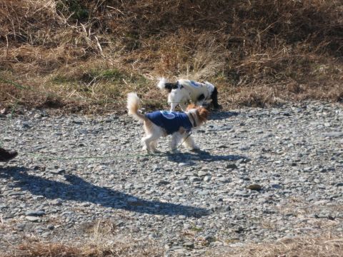 f0047773_9553159.jpg