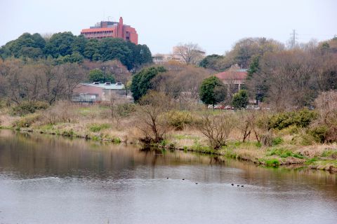 f0047773_9561990.jpg