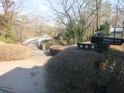 f0047773_9571744.jpg