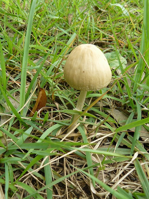 d0019074_8484521.jpg