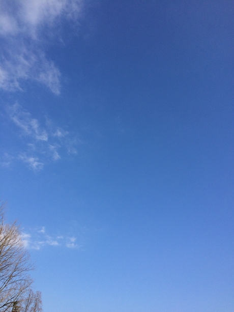 c0283778_1236426.jpg