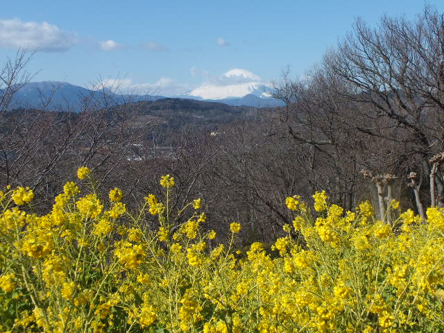 e0145782_14595450.jpg