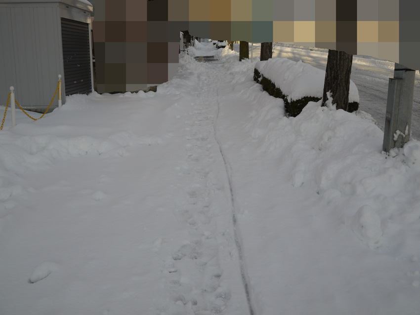 d0244687_824399.jpg