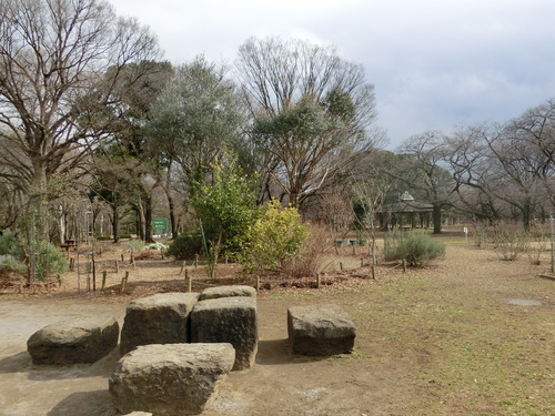 a0319693_942881.jpg