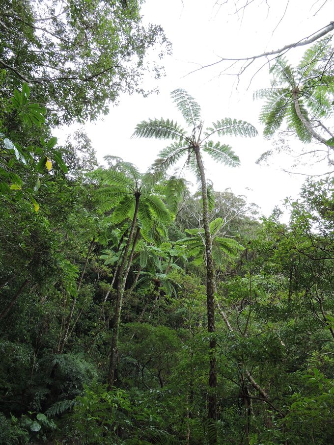 e0241093_8544128.jpg