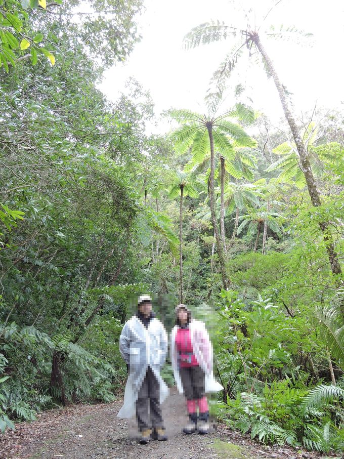 e0241093_8554332.jpg