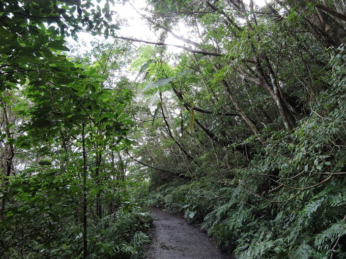 e0241093_8571087.jpg