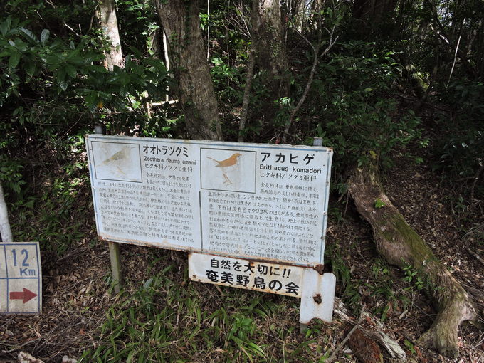 e0241093_8573028.jpg